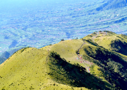 Mount Merbabu Trekking