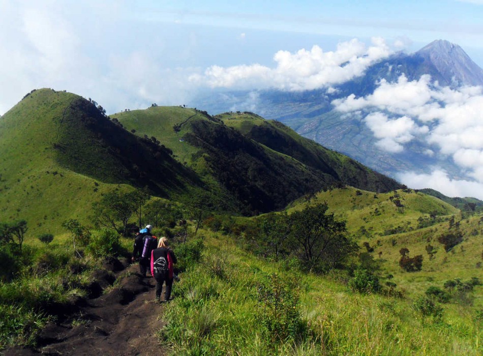 Mount Merbabu Trekking - Close to Nature Trips of Yogyakarta