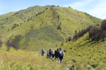 Yogyakarta: Merbabu Day Hike
