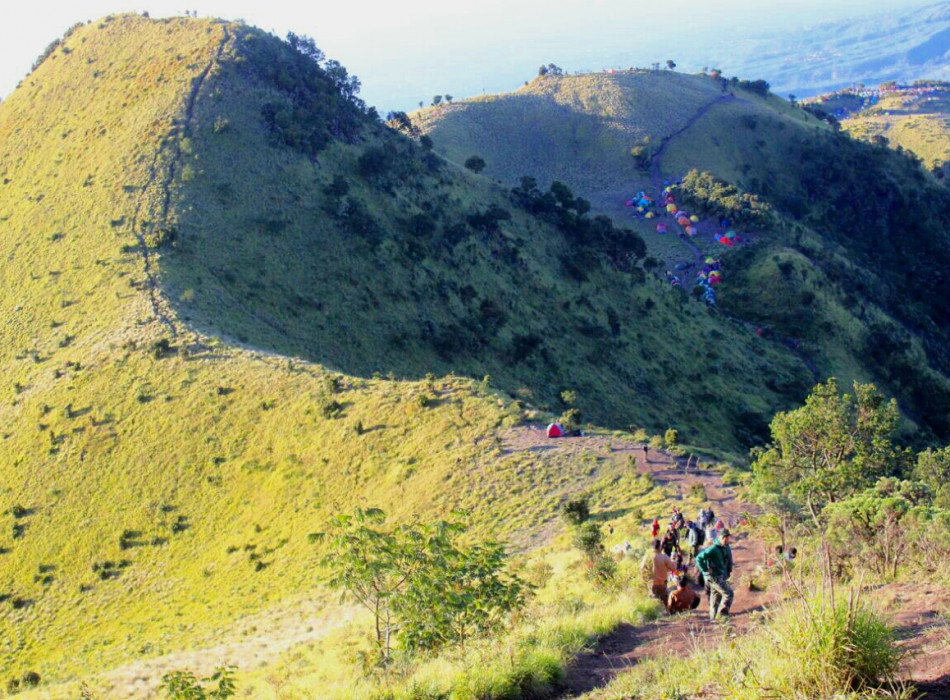Yogyakarta: Merbabu Day Hike