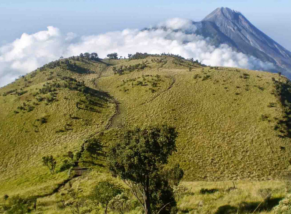 Yogyakarta: Merbabu Day Hike