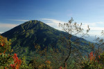 Yogyakarta: Merbabu Day Hike
