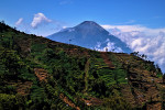 Yogyakarta: Mount Prau Camping 2D1N