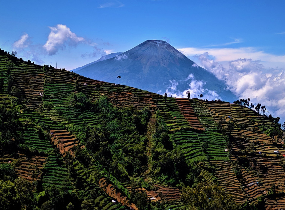 Yogyakarta: Mount Prau Camping 2D1N