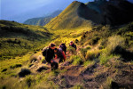 Yogyakarta: Merbabu Camping 2D1N