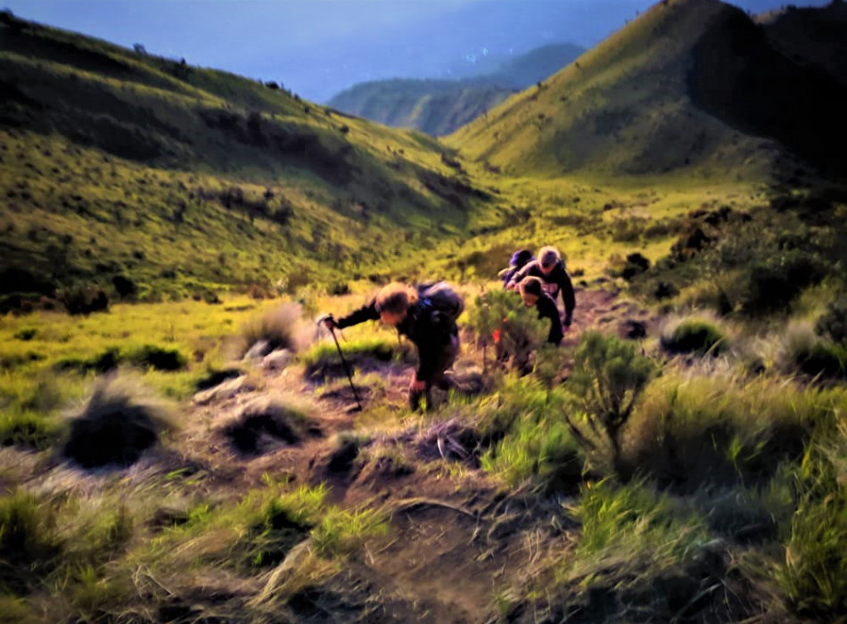 Yogyakarta: Merbabu Camping 2D1N