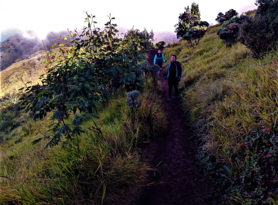 Yogyakarta: Merbabu Camping 2D1N