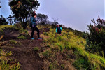 Yogyakarta: Merbabu Camping 2D1N