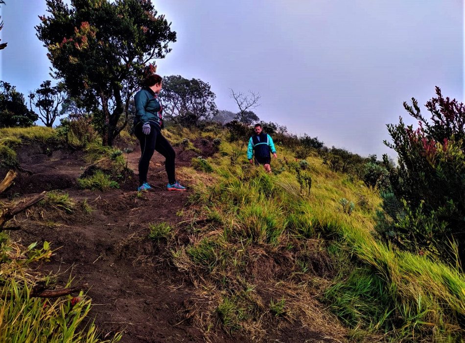 Yogyakarta: Merbabu Camping 2D1N