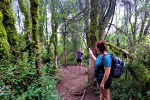 Yogyakarta: Merbabu Camping 2D1N