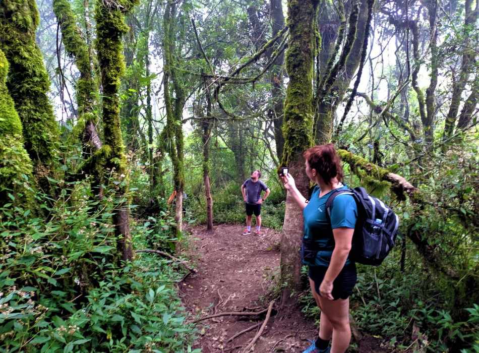 Yogyakarta: Merbabu Camping 2D1N