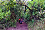 Yogyakarta: Merbabu Camping 2D1N