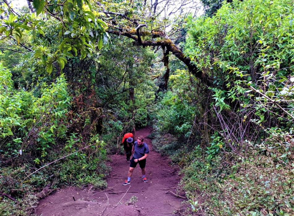 Yogyakarta: Merbabu Camping 2D1N