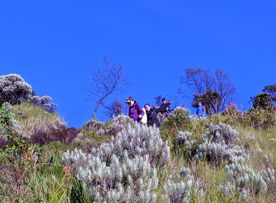 Mount Merbabu Camping