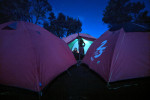 Mount Merbabu Camping 2D1N