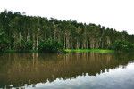 Way Kambas National Park 4 Days 3 Nights