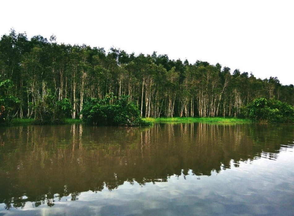 Way Kambas National Park 4 Days 3 Nights