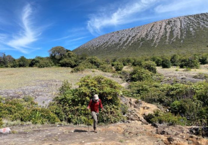 Palembang: Mount Dempo Trekking 4D3N