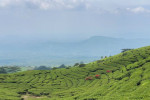 Palembang: Mount Dempo Trekking 4D3N