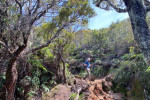 Palembang: Mount Dempo Trekking 4D3N