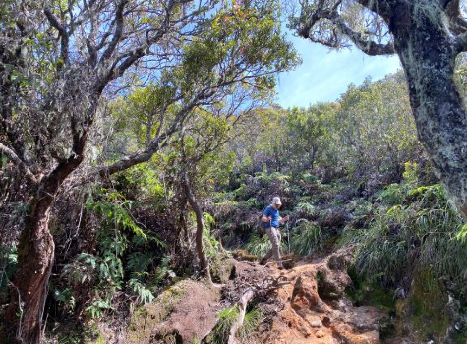 Palembang: Mount Dempo Trekking 4D3N
