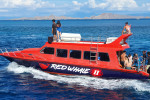 From Labuan Bajo: Komodo One Day Tour