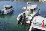 From Labuan Bajo: Komodo One Day Tour