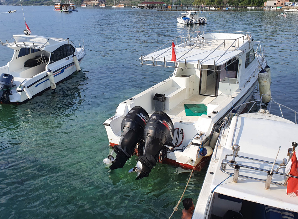 From Labuan Bajo: Komodo One Day Tour