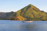From Labuan Bajo: Komodo One Day Tour