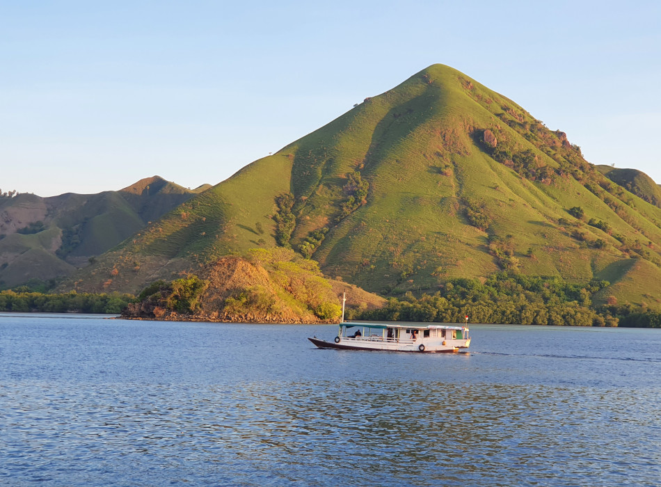 From Labuan Bajo: Komodo One Day Tour