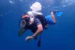 Raja Ampat Diving 4D3N