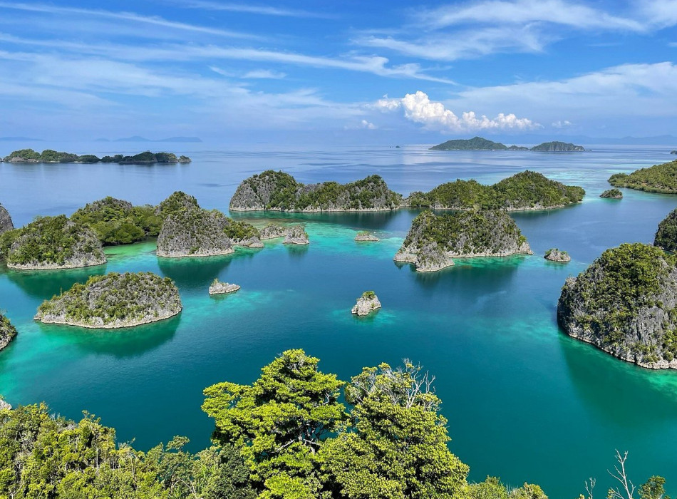 Raja Ampat Diving 4D3N