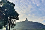 Yogyakarta: 7D6N Malang and Mount Bromo Overland Surabaya
