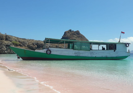 From Labuan Bajo: Komodo One Day Tour